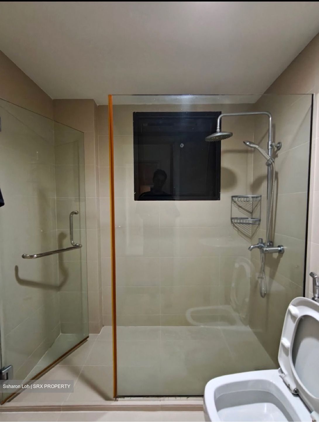 Central Green Condominium (D3), Condominium #599757621